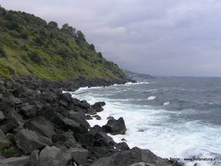 Acque_Grandi - 21-09-2014 17-53-04.jpg